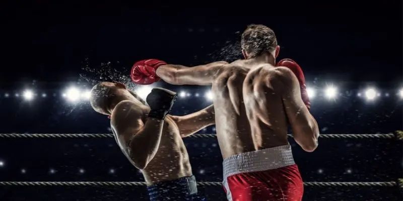 Luật chơi cá cược boxing mà hội viên cần lưu tâm