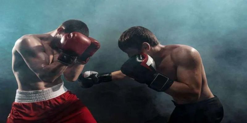 Sơ lược về hình thức giải trí cá cược boxing FCB88