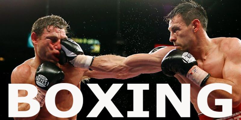 Cá Cược Boxing - Hướng Dẫn Chi Tiết Cho Hội Viên 2025