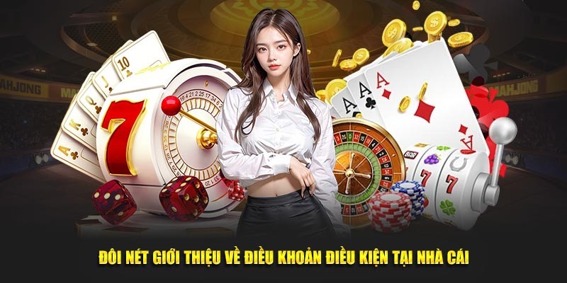 Giới thiệu về điều kiện điều khoản tại <span style=